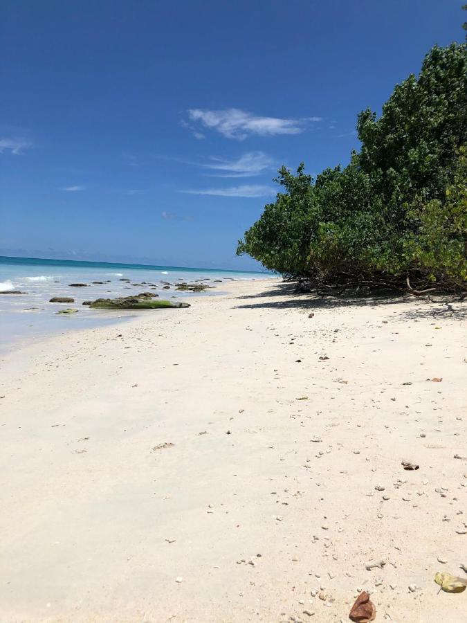 Tilar Siro Andamans - A Cgh Earth Experience Hotell Govind Nagar Exteriör bild