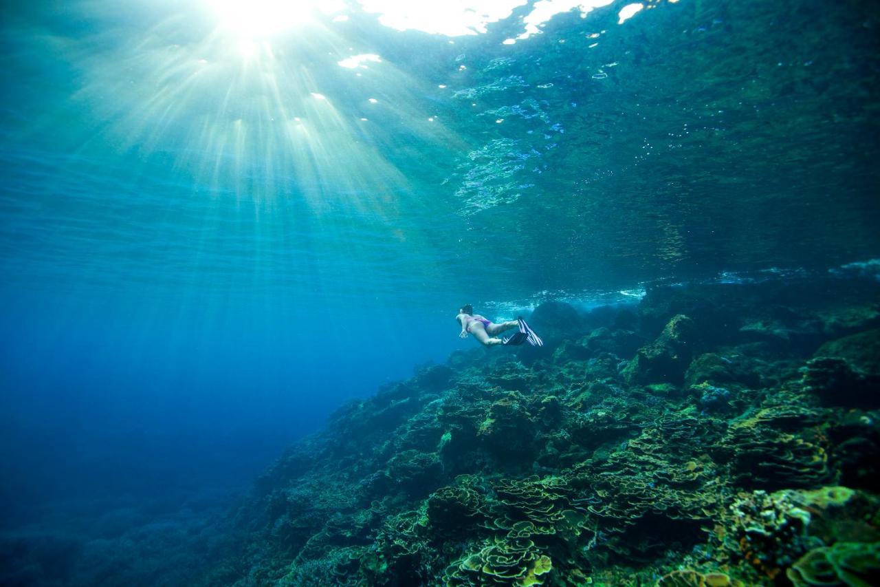 Tilar Siro Andamans - A Cgh Earth Experience Hotell Govind Nagar Exteriör bild