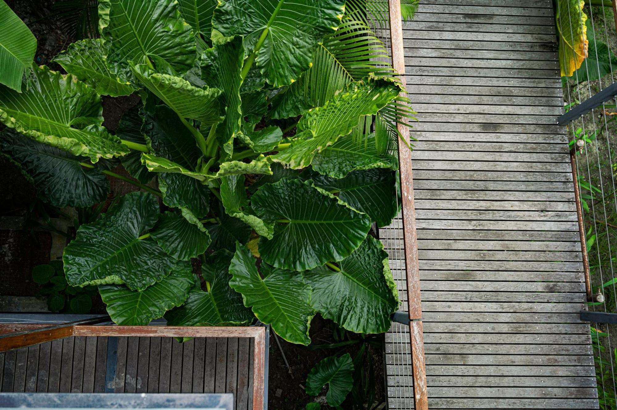Tilar Siro Andamans - A Cgh Earth Experience Hotell Govind Nagar Exteriör bild